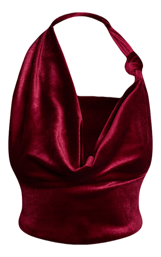 Velvet Cowl Neck Top