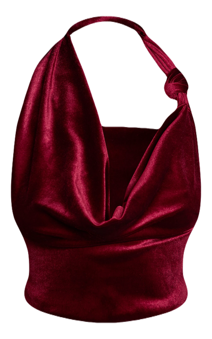 Velvet Cowl Neck Top