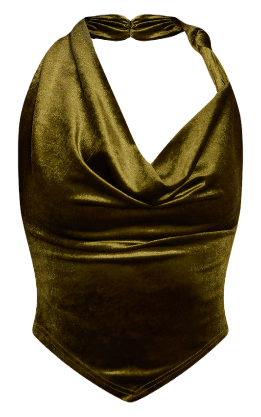 Velvet Cowl Neck Top